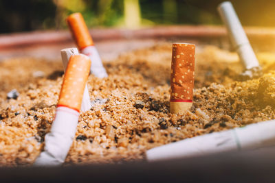 Close-up of cigarette butts in container outdoors