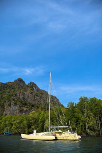 Sailboats moored in bay