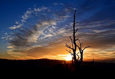 Silhouette landscape at sunset