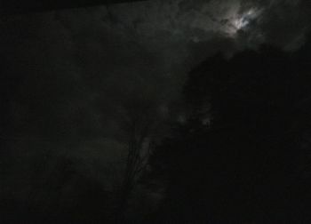 Silhouette trees against sky at night