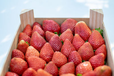 Close-up of freshly picked strawberries in a wooden box 