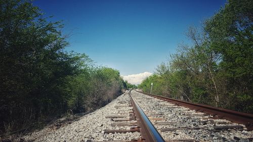 Railroad tracks amidst trees against clear sky