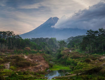 Scenic view of landscape against sky