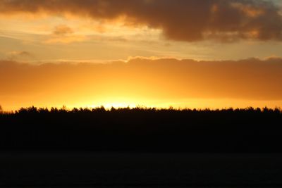 Scenic view of silhouette trees against orange sky