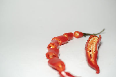 Close-up of red chili pepper against white background