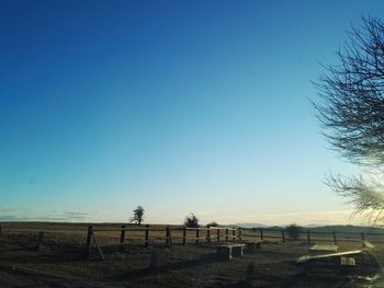 Scenic view of landscape against clear blue sky