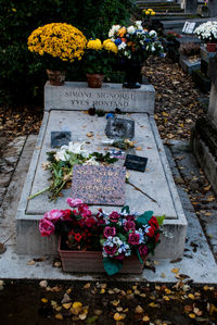 High angle view of flowering plants at cemetery