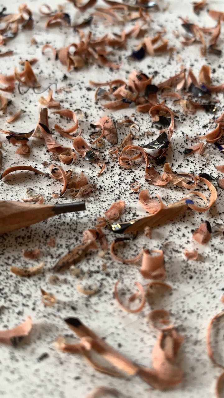 HIGH ANGLE VIEW OF DRY LEAVES ON FLOOR