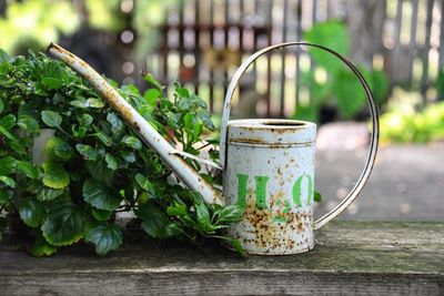 Close-up of watering can by plant in yard