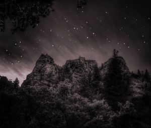 Low angle view of trees against sky at night