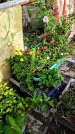 High angle view of potted plants in garden