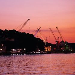 Cranes at sunset