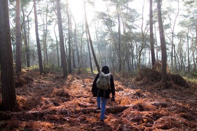 Rear view of boy walking in forest