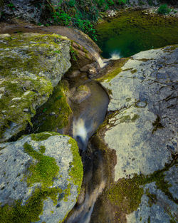 Stream flowing through rocks in forest