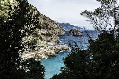 High angle view of trees by sea against sky