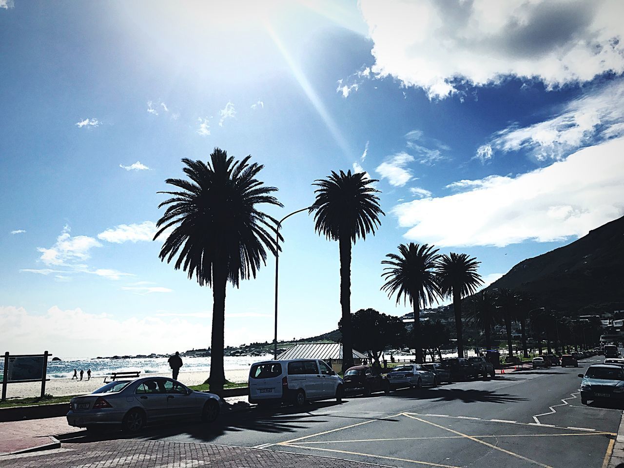 PALM TREES AND ROAD AGAINST SKY