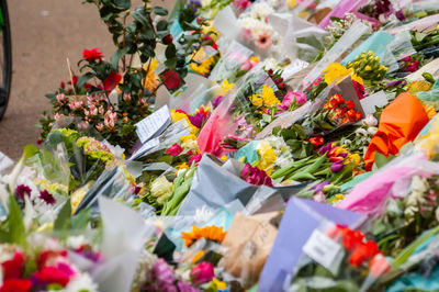 High angle view of various flowers on wall