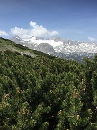 Scenic view of green landscape and mountains against sky