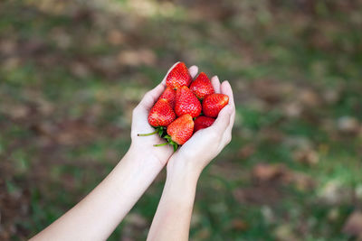 Close-up of hand holding strawberry