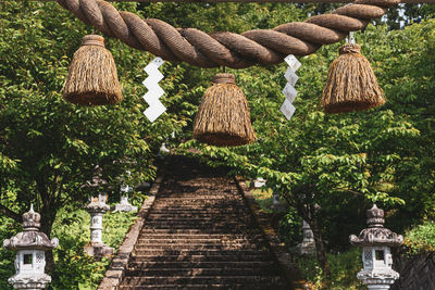 Low angle view of sculptures on roof against trees