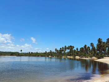 Scenic view of lake against clear blue sky