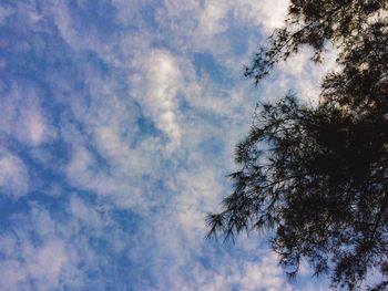 Low angle view of tree against sky