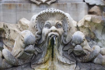 Close-up of statue