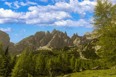 Panoramic view of trees and mountains against sky