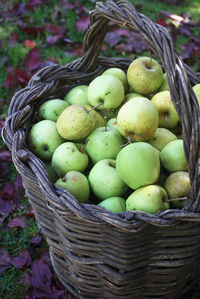 Close-up of apples in basket