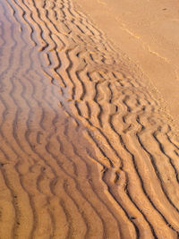 Background from fine and wet sand, sand textures, sand beach background.