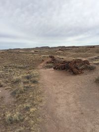 Scenic view of desert against sky