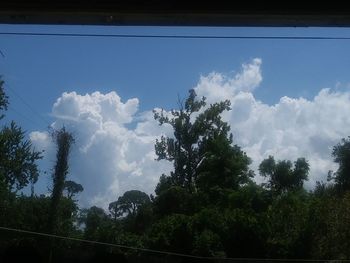 Low angle view of trees against sky