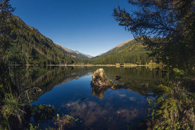 Scenic view of lake by trees against blue sky