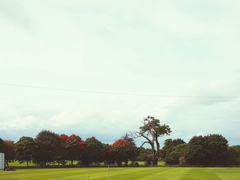 Trees on landscape against sky