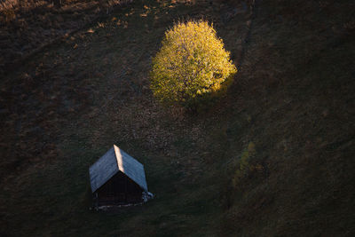 High angle view of autumn trees on field