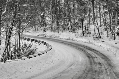 Snow covered road by trees in forest