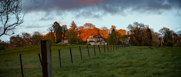 Trees on field against sky during autumn