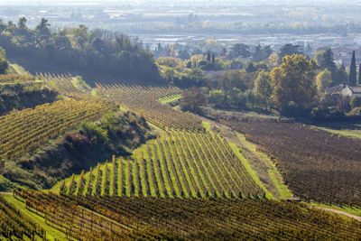 High angle view of landscape