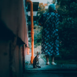 Rear view of people walking outdoors