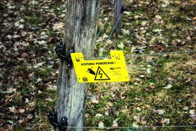 Close-up of yellow sign on tree trunk
