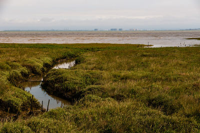 Scenic view of sea against sky