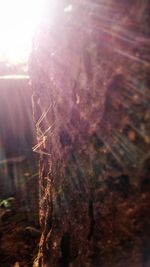 Close-up of spider web on rock against bright sun