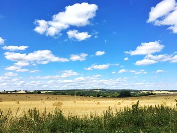 Scenic view of agricultural field against sky