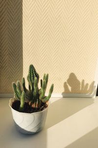 Close-up of plant on table at home