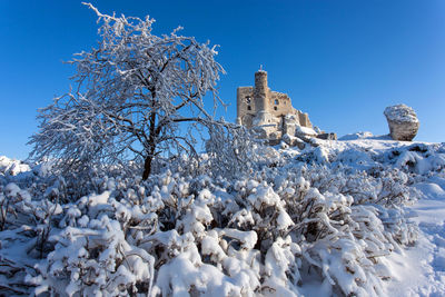 Snow covered plants by building against sky