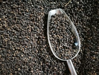 High angle view of coffee beans