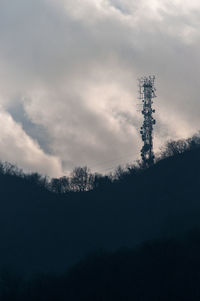Low angle view of trees against sky