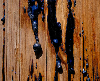 Full frame shot of wood