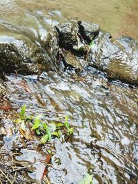 Close-up of water