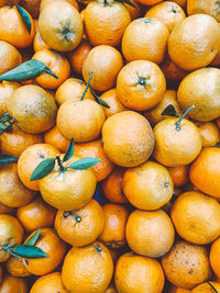 Oranges in the market